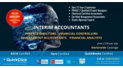 Interim Accountants